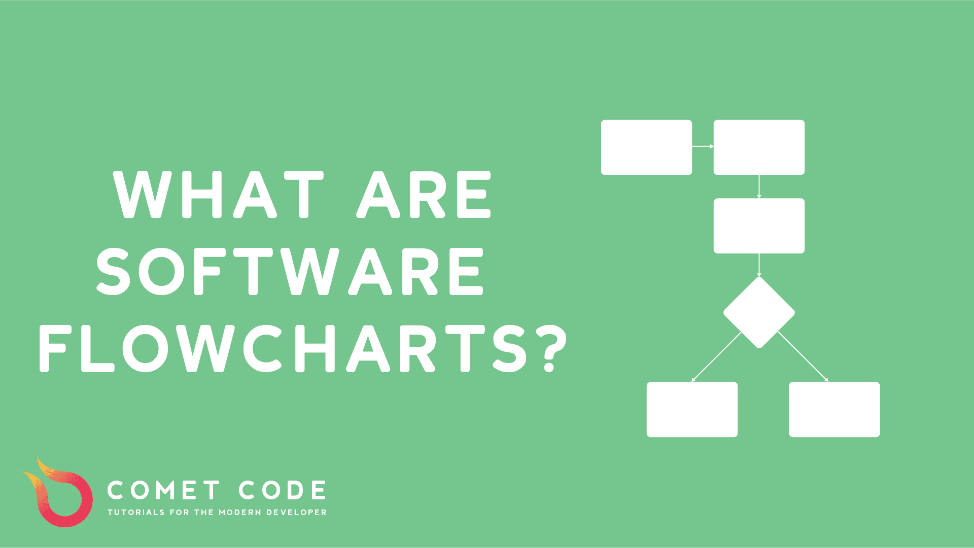What are Software Flowcharts?